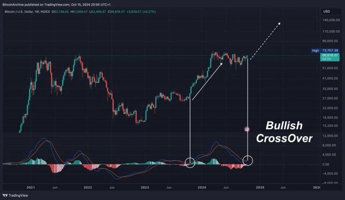 График курса Bitcoin к доллару США из TradingView с данными и ценовыми уровнями