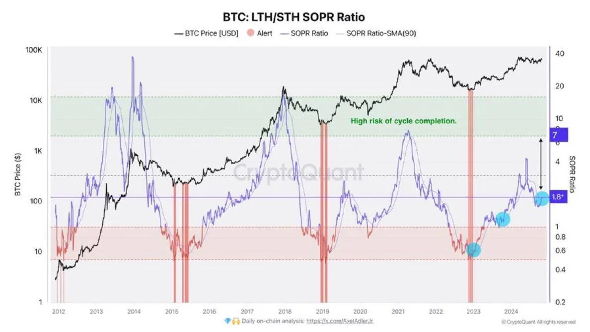 График BTC LTH/STH SOPR Ratio и цены биткоина с пометкой высокого риска завершения цикла